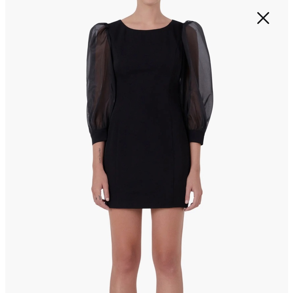 Organza Balloon Sleeve Minidress